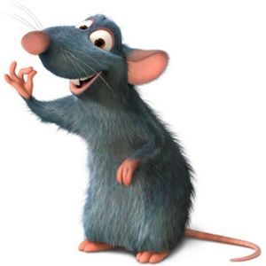 Meet your Posher, Robert